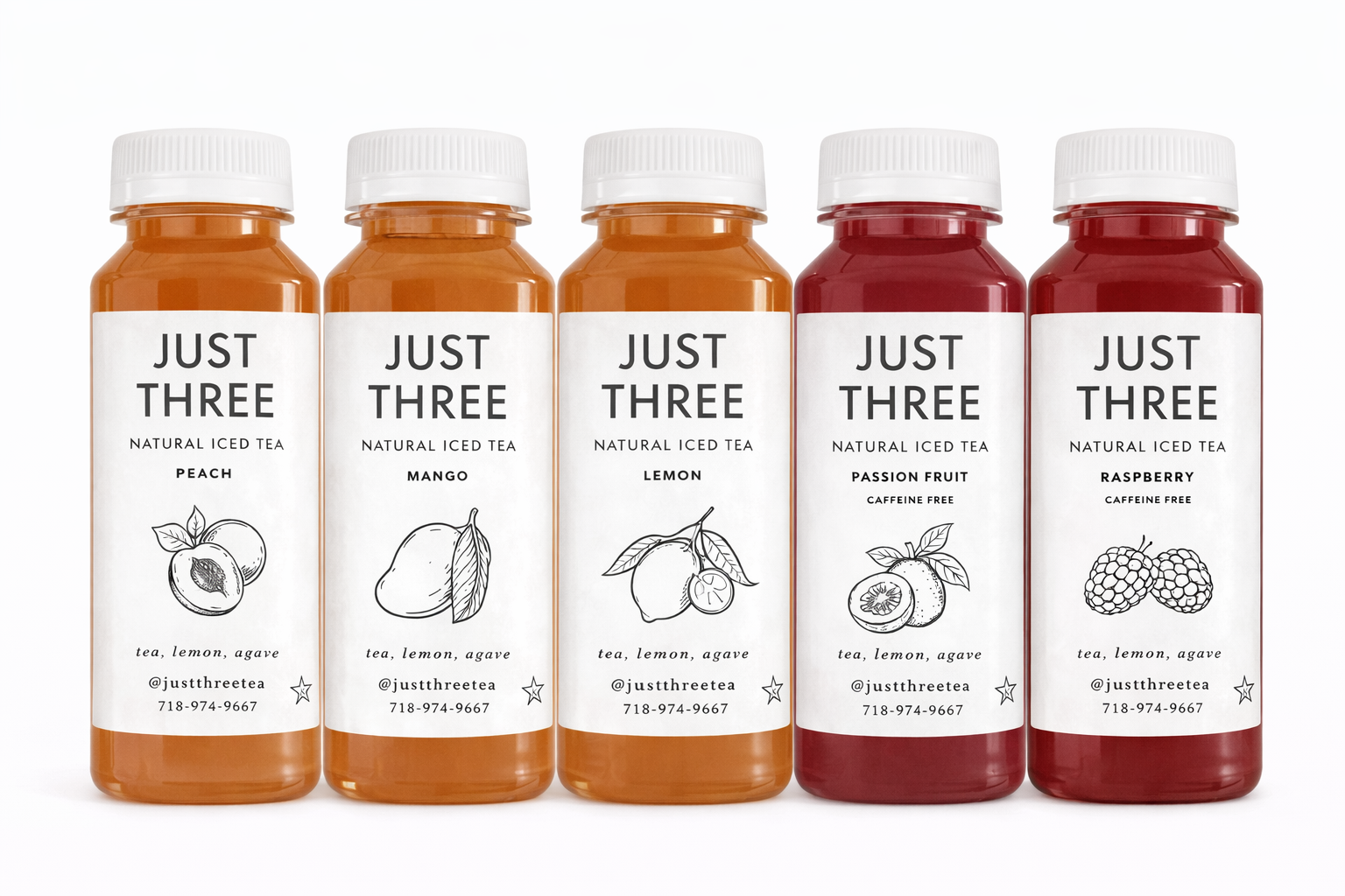 Just Three Natural Iced Tea 16oz Variety Pack